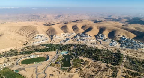 Димона – дивный оазис посреди пустыни Негев