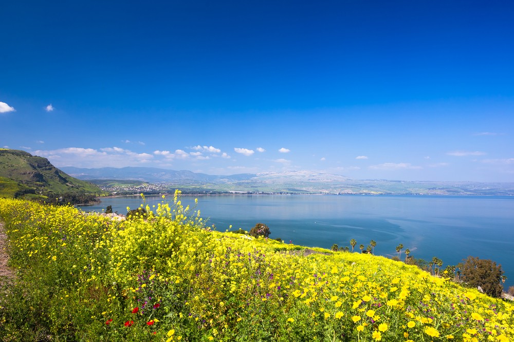 Озеро Кинерет, г. Тверия, Израиль