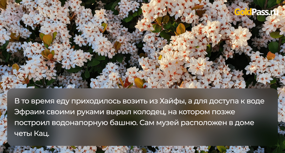 Кирьят-Бялик на фоне цветов